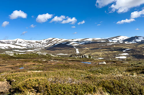 Mount Kosciuszko summit trail