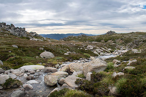 Creek from pathway