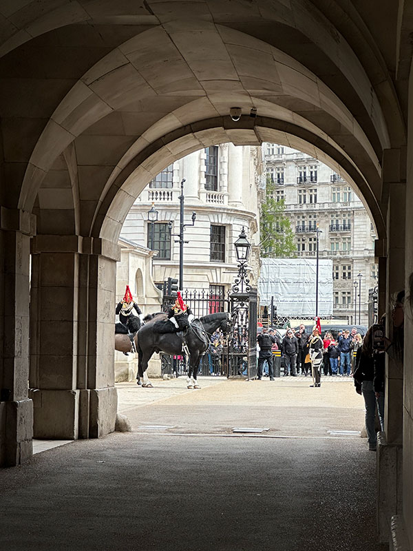 horse