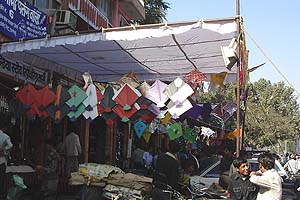 Kites for Kite Festival
