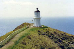 north island