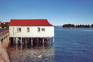 south island