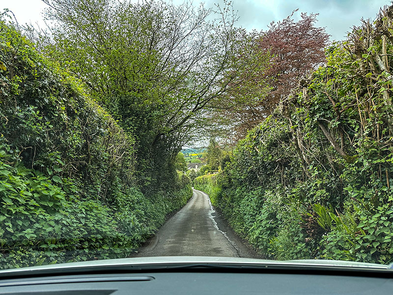 Lane